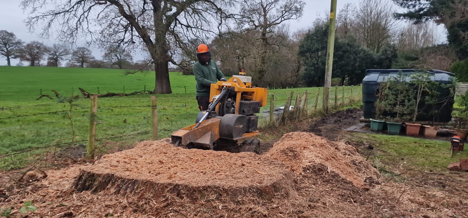 Tree stump removal in Islington with professional stump grinder